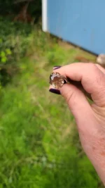 Mystique Oregon Sunstone 12.5x9.8mm – Heavy Copper Schiller, Hand-Mined, Untreated Gemstone - Image 9