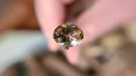 3.25ct Oval Oregon Sunstone – Champagne Yellow, Crystal Clear - Image 2