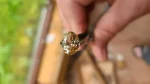 3.25ct Oval Oregon Sunstone – Champagne Yellow, Crystal Clear - Image 6