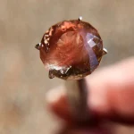 Portuguese cut bi-color 6.7ct Oregon Sunstone - Image 5