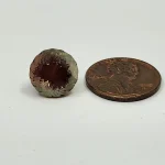 Portuguese cut bi-color 6.7ct Oregon Sunstone - Image 2