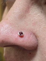 Rhodolite garnet flatback labret - Image 10