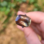 8.43ct Oregon Sunstone Gem (14.4 x 10.9mm) – Dust Devil Mine, Mystique Green & Peach with Copper Schiller