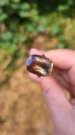 8.43ct Oregon Sunstone Gem (14.4 x 10.9mm) – Dust Devil Mine, Mystique Green & Peach with Copper Schiller